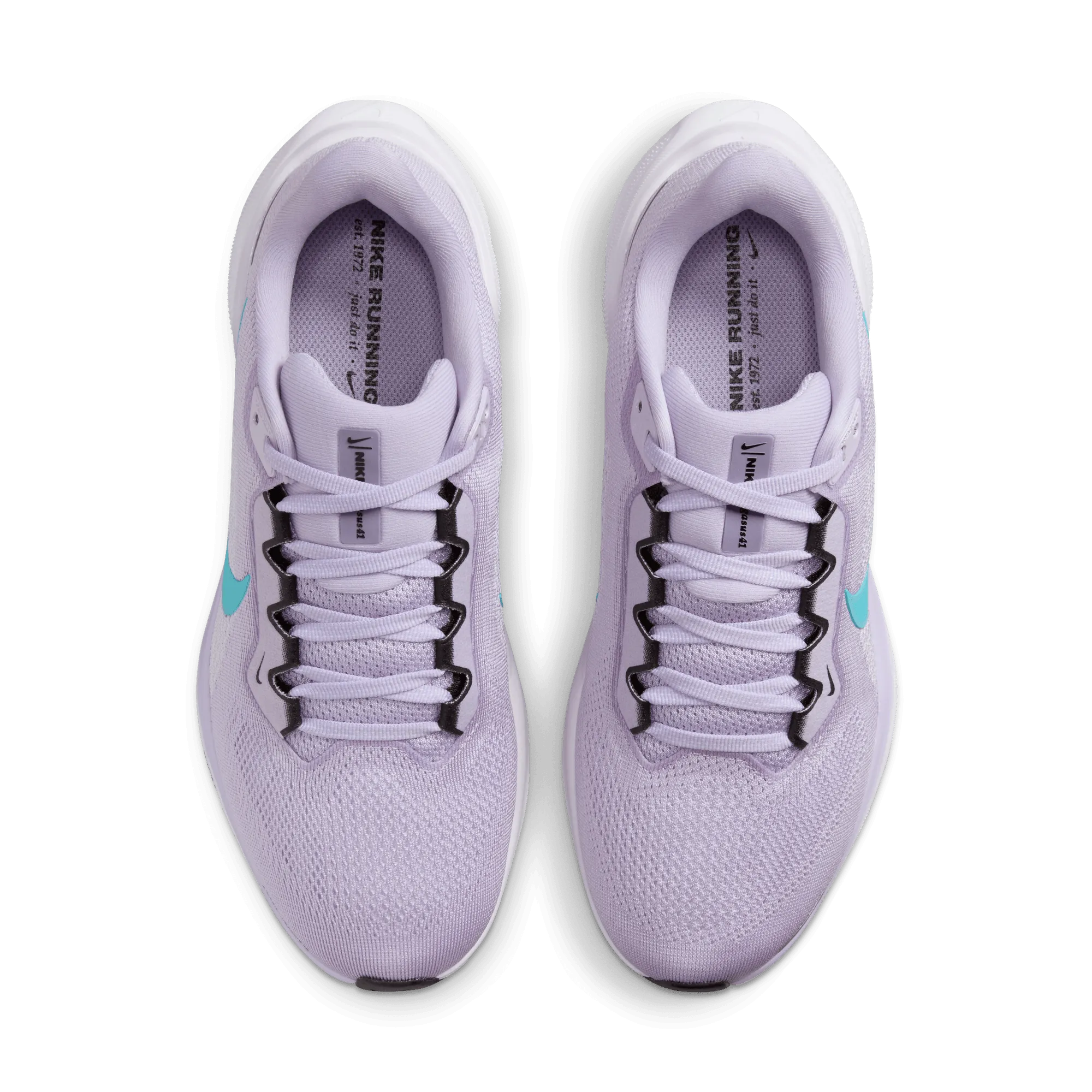 Women's Air Zoom Pegasus 41 (500 - Hydrangeas/Dusty Cactus-Barely Grape)